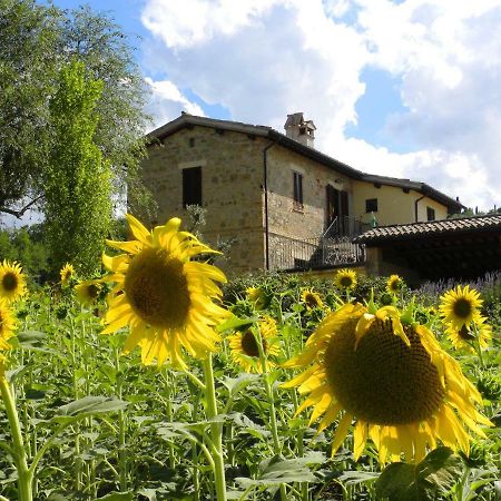 Appartamenti Verde Collina Umbra Bevagna Esterno foto