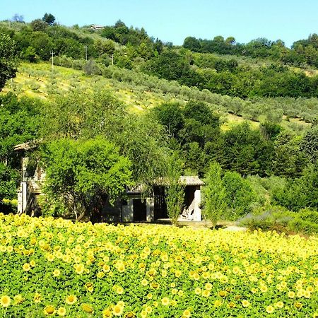 Appartamenti Verde Collina Umbra Bevagna Esterno foto
