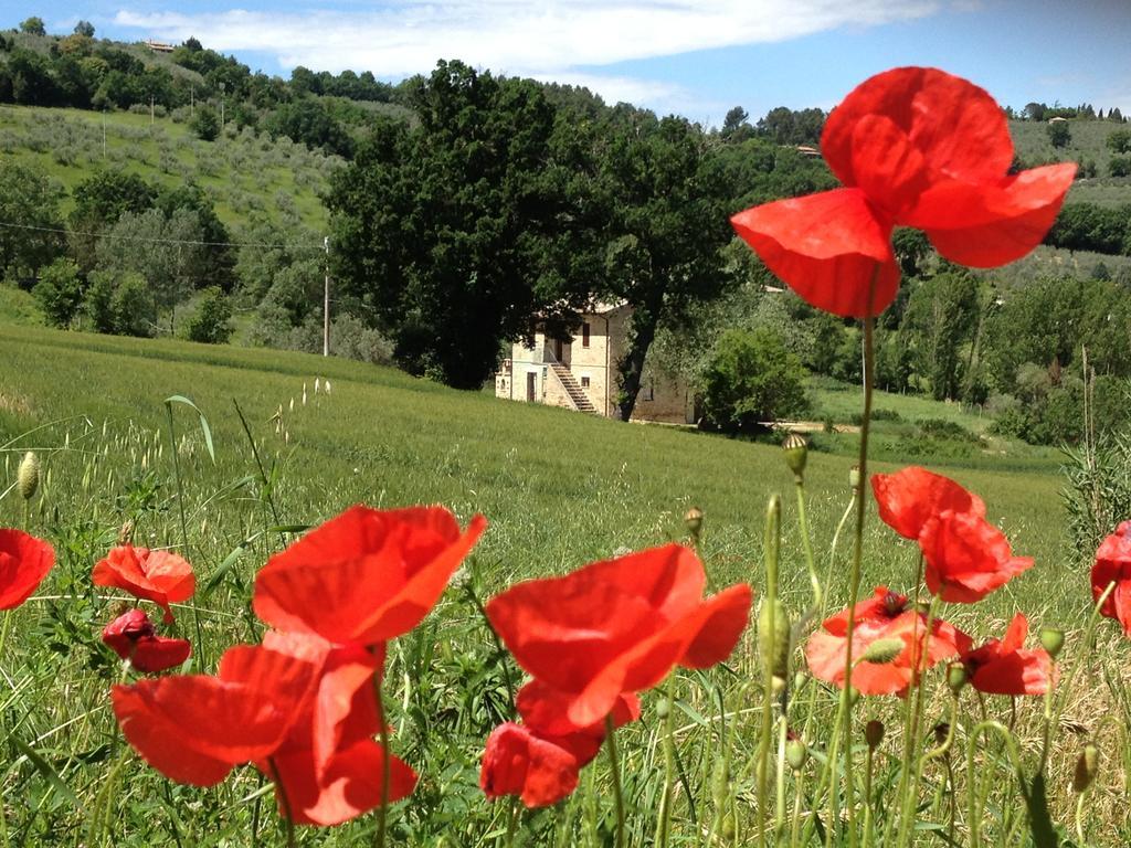 Appartamenti Verde Collina Umbra Bevagna Esterno foto