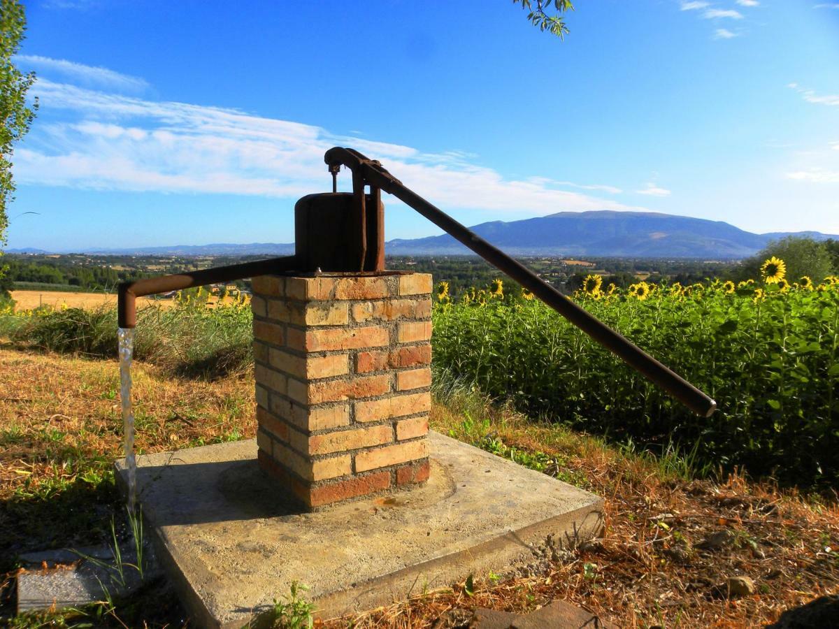 Appartamenti Verde Collina Umbra Bevagna Esterno foto