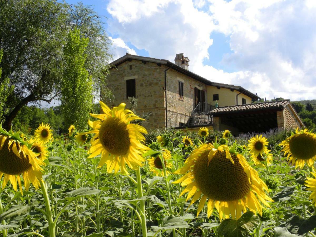Appartamenti Verde Collina Umbra Bevagna Esterno foto