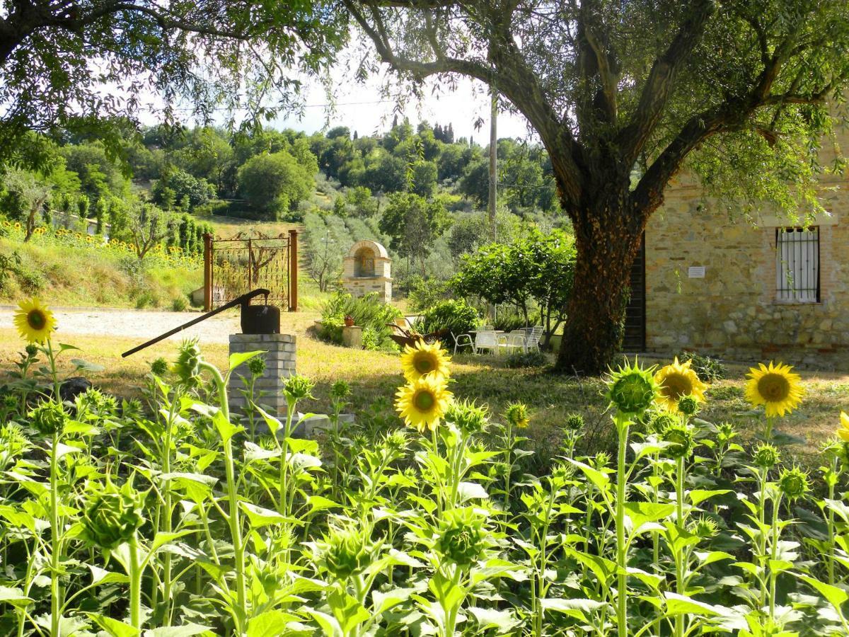 Appartamenti Verde Collina Umbra Bevagna Esterno foto