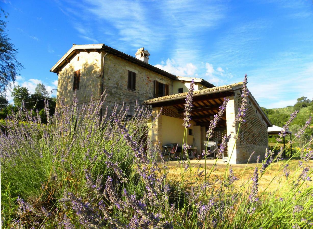 Appartamenti Verde Collina Umbra Bevagna Esterno foto