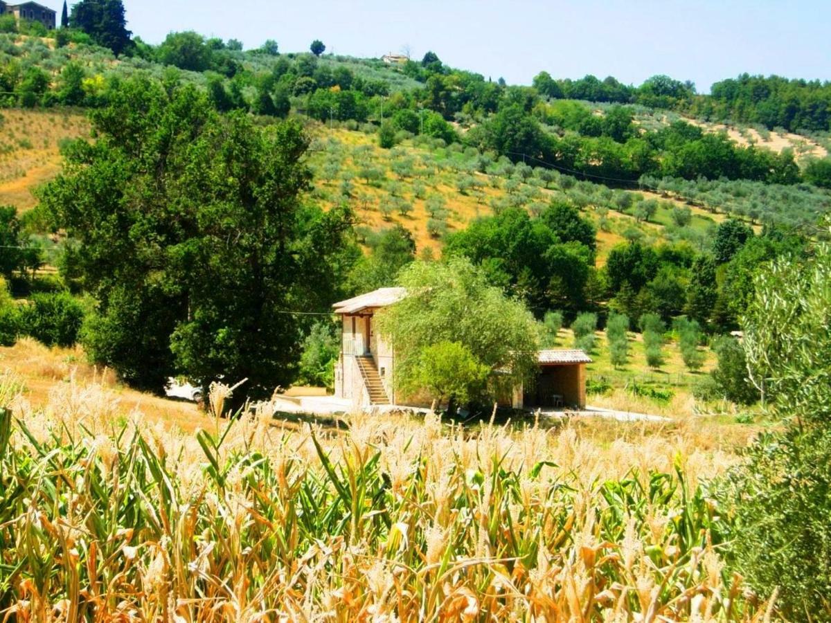Appartamenti Verde Collina Umbra Bevagna Esterno foto