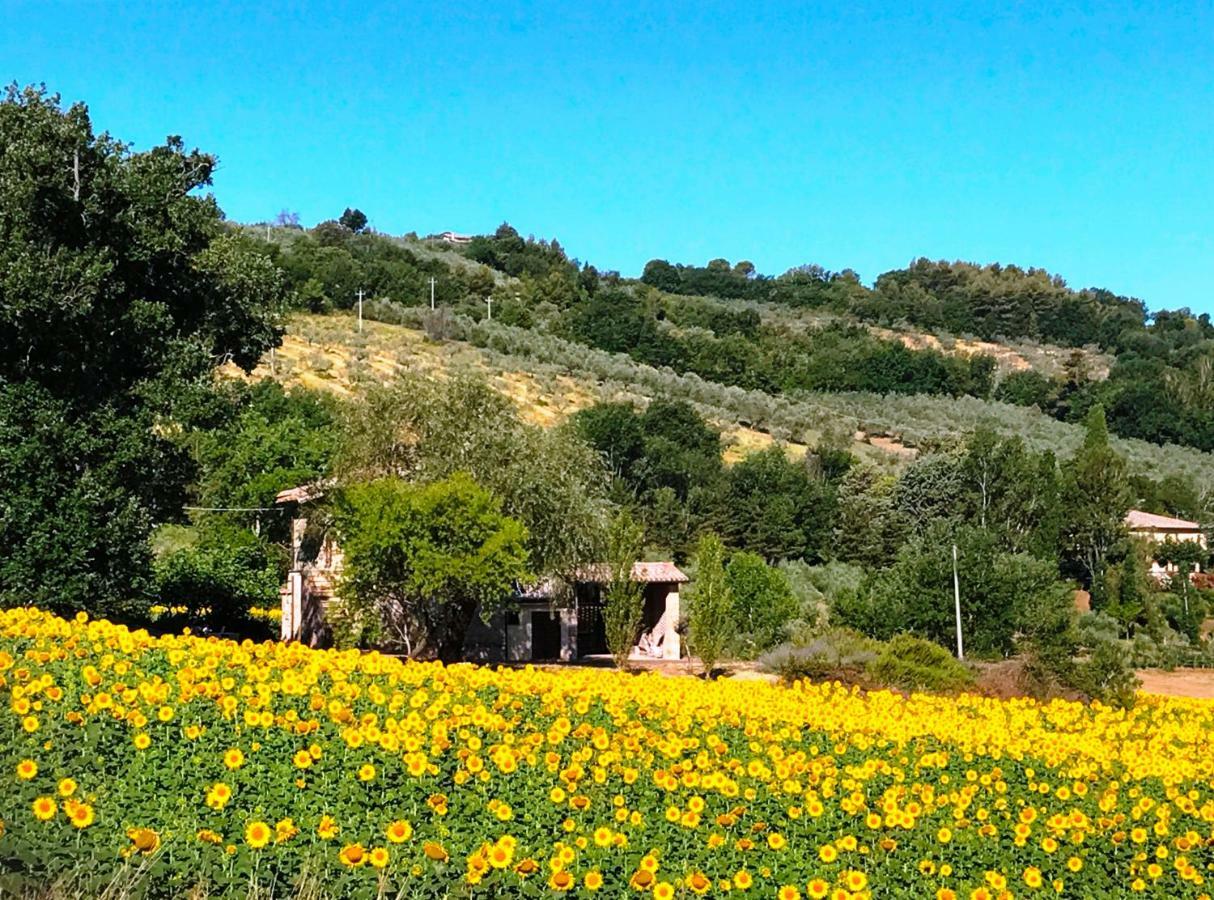 Appartamenti Verde Collina Umbra Bevagna Esterno foto