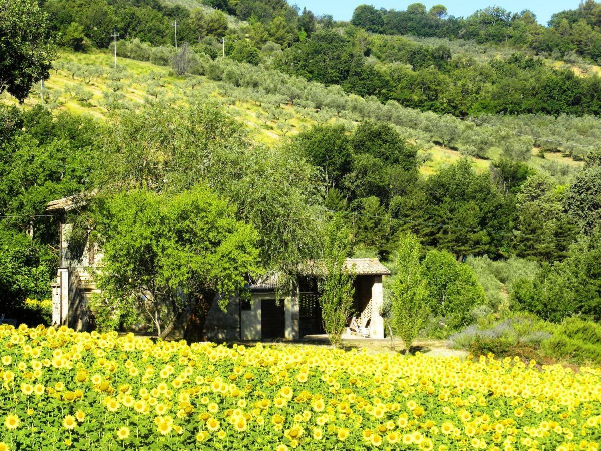Appartamenti Verde Collina Umbra Bevagna Esterno foto