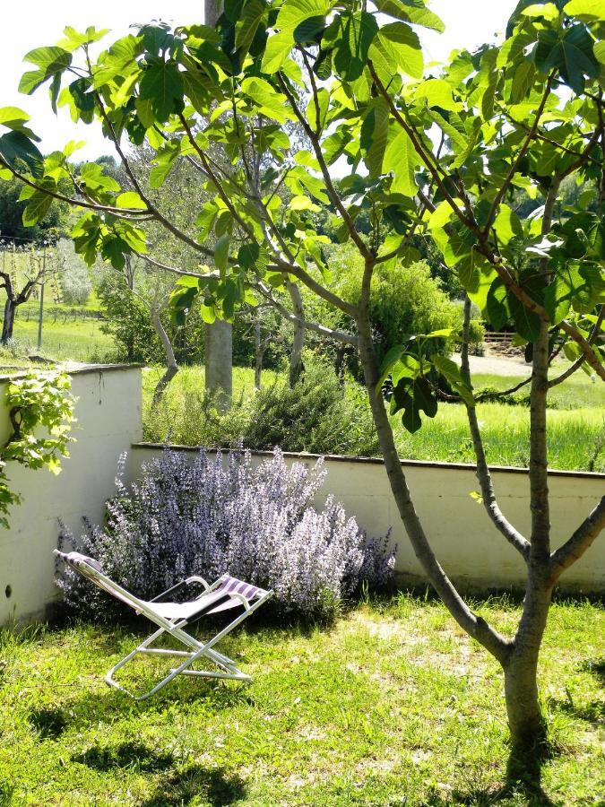 Appartamenti Verde Collina Umbra Bevagna Esterno foto